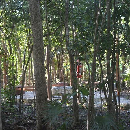 Glamping Mayan Glam Tulum Kültér fotó