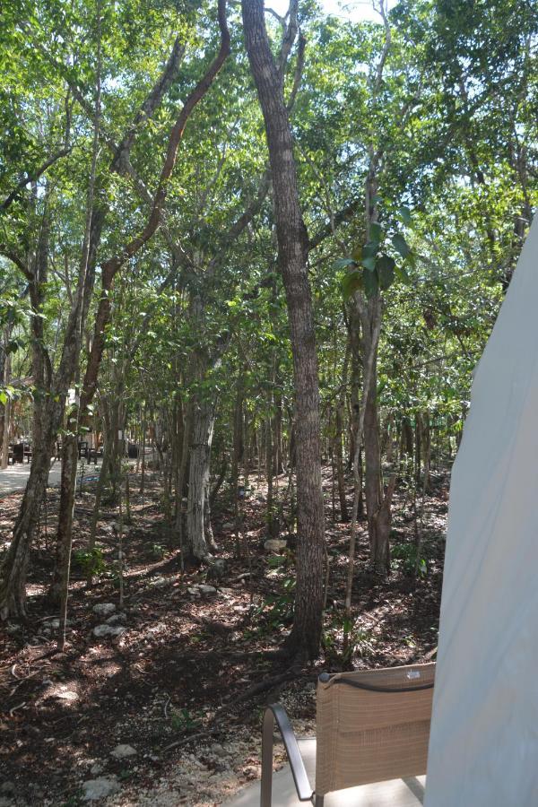 Glamping Mayan Glam Tulum Kültér fotó